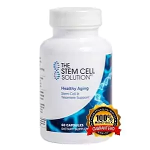 The Stem Cell Solution